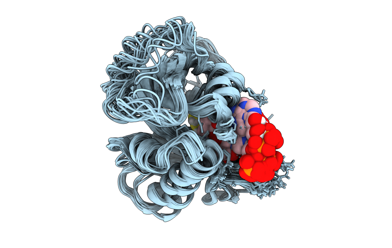 5GCN image