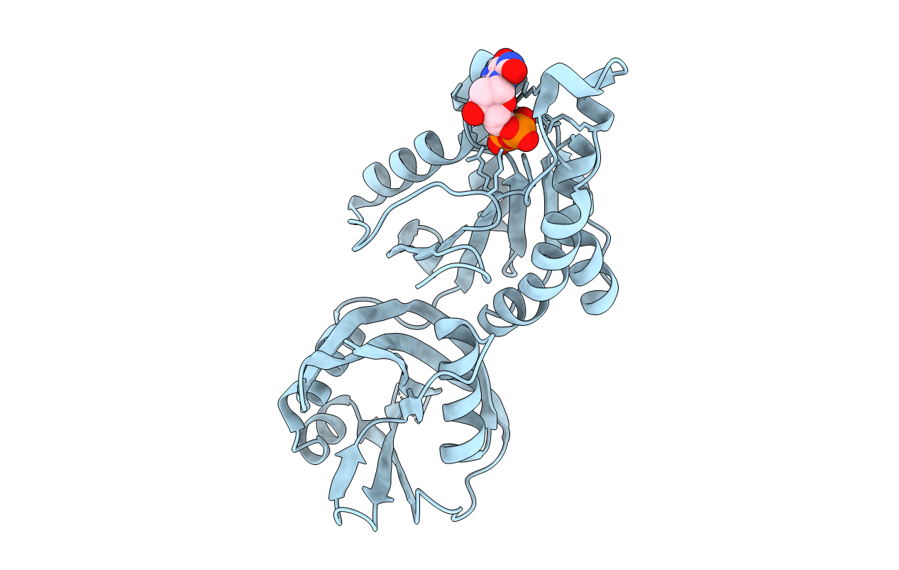 5GGB image