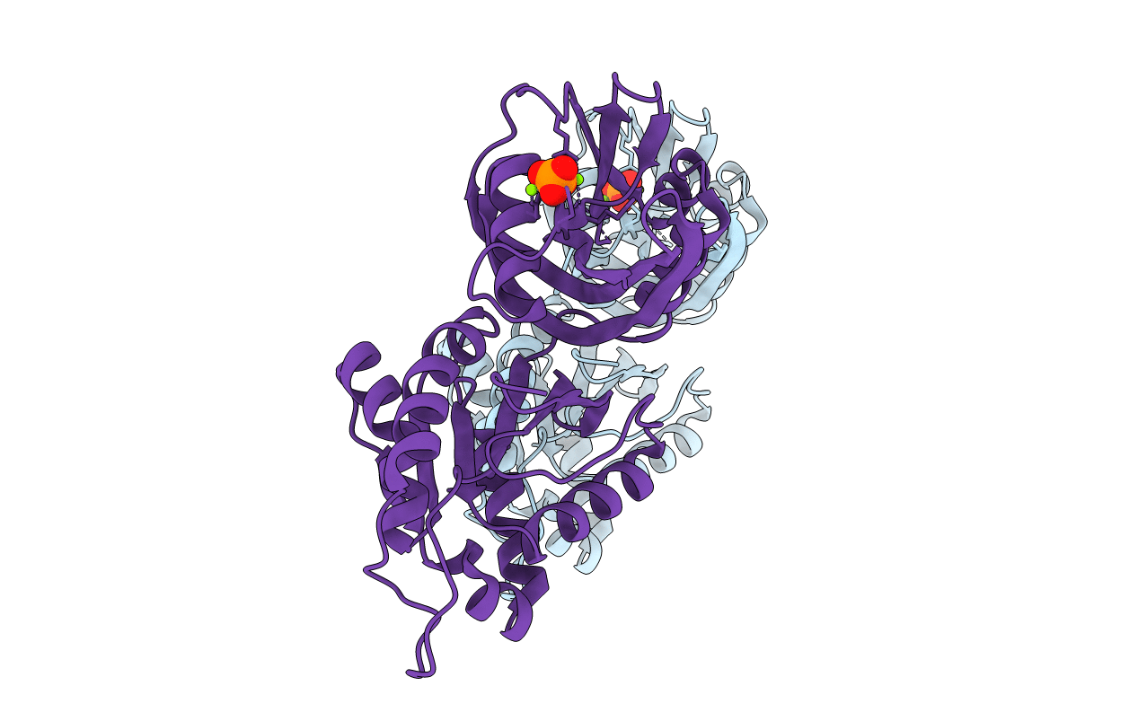 5GGD image