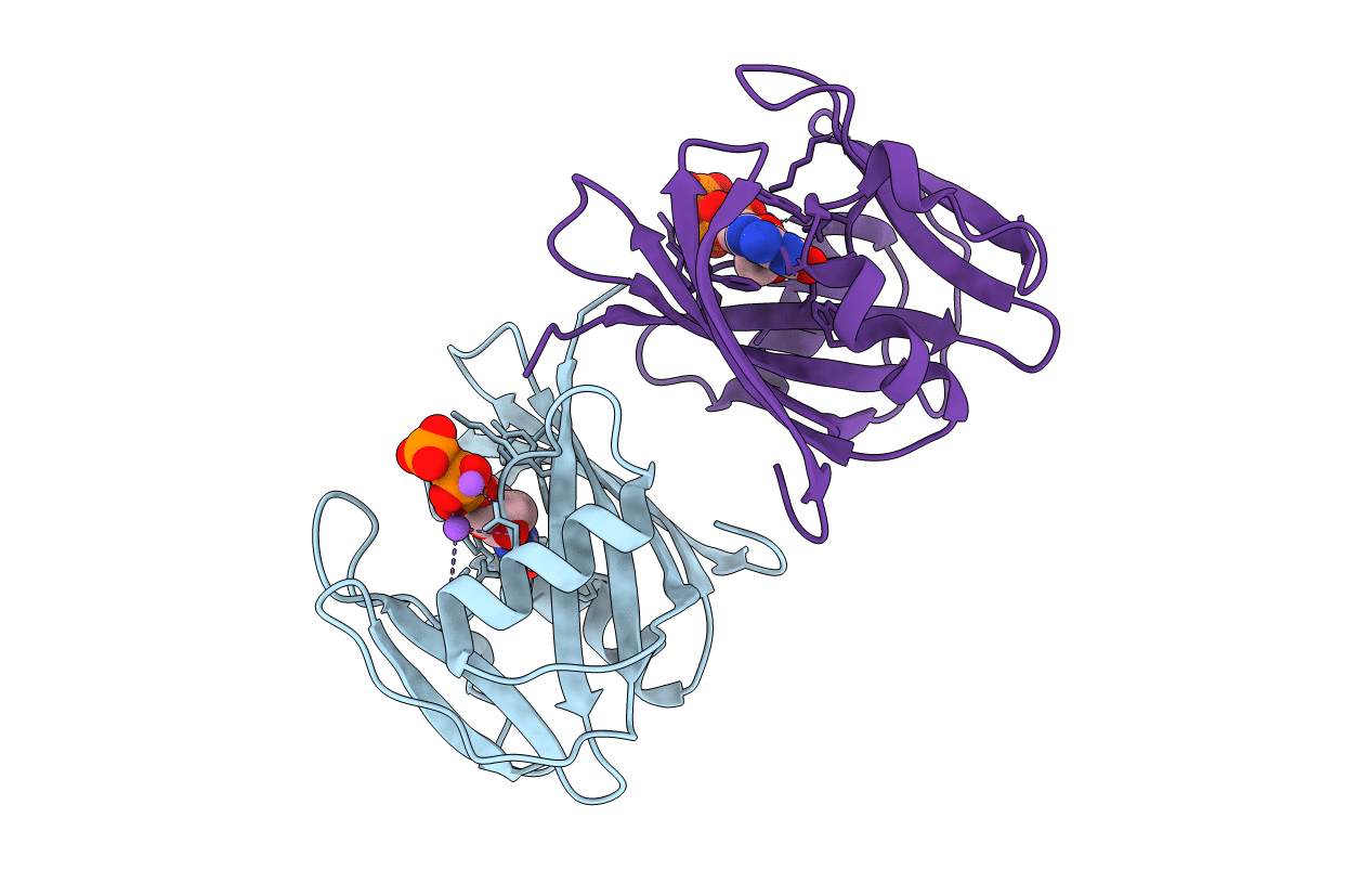 5GHN image