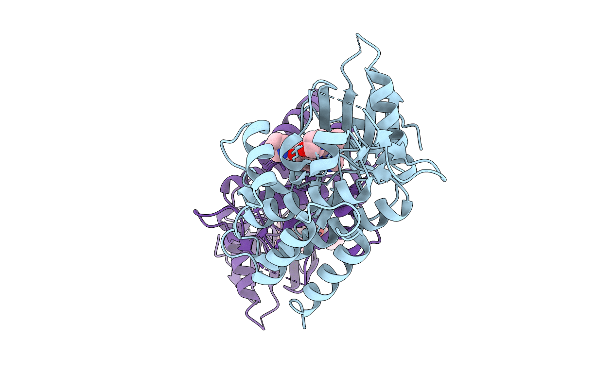5GHV image