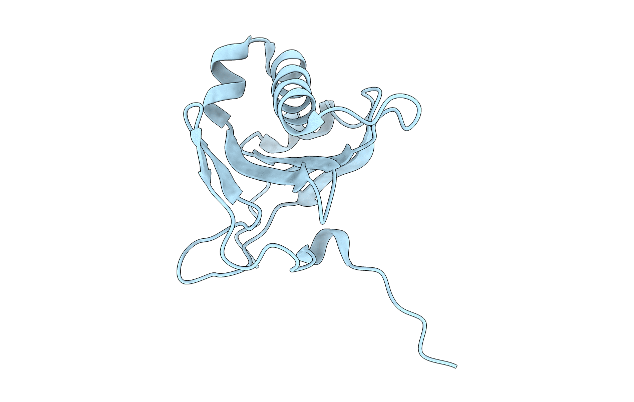 5GI0 image