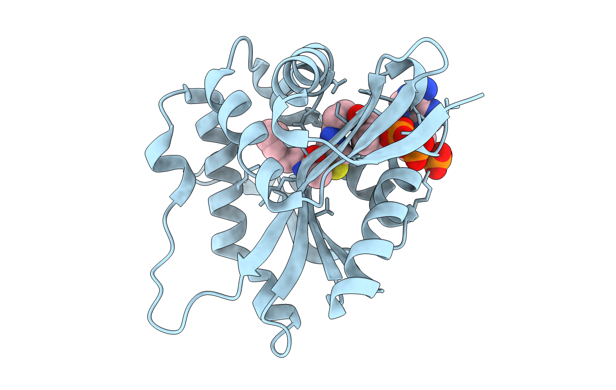 5GII image