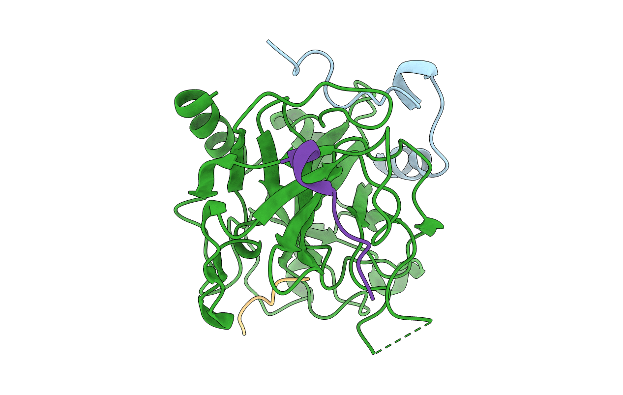5GIM image