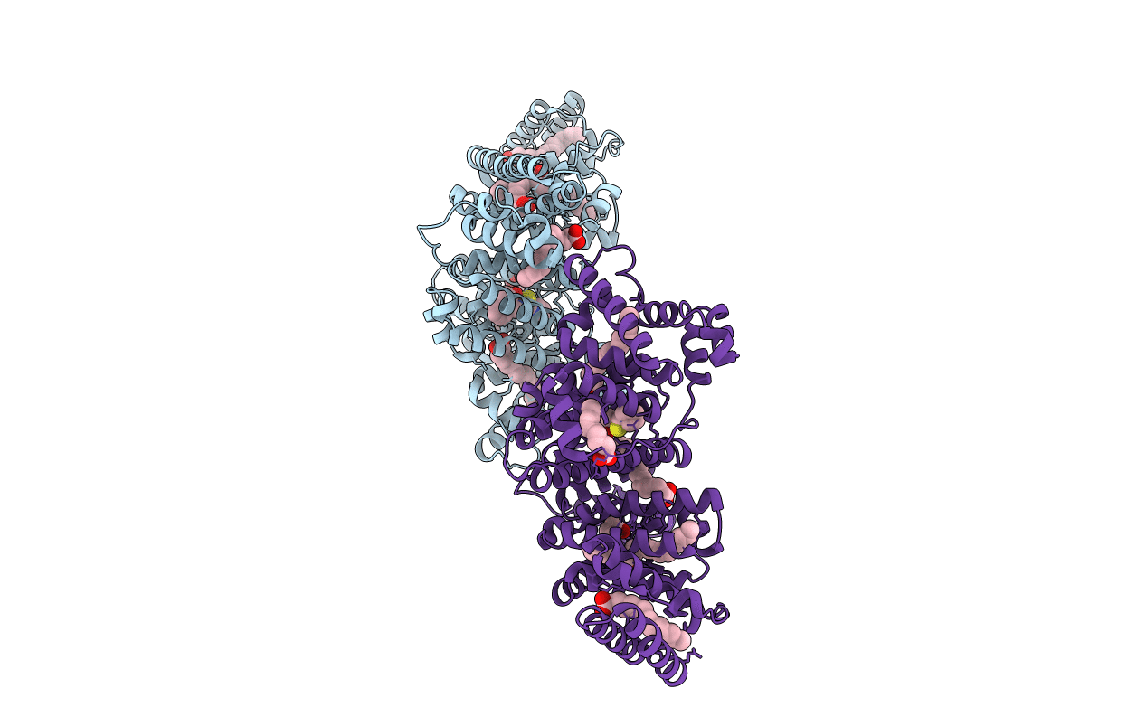 5GIX image