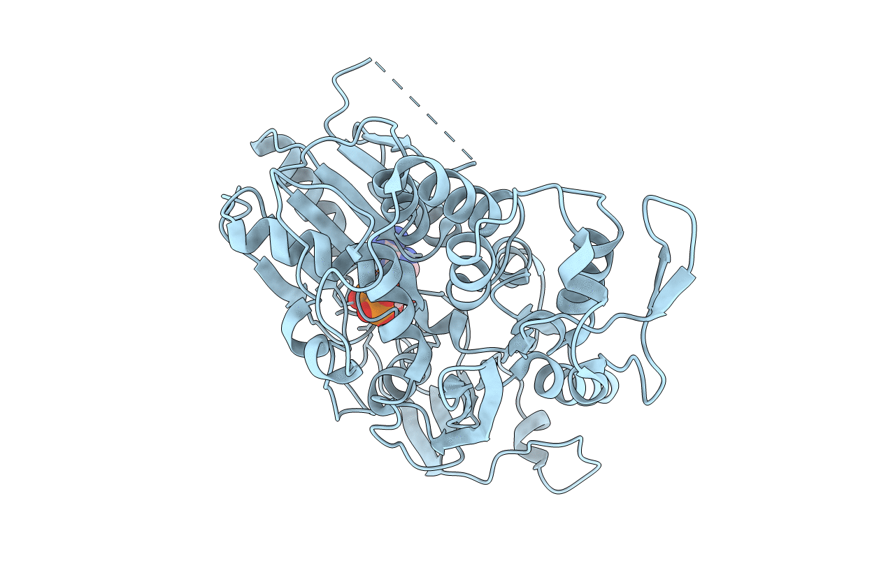 5GJC image