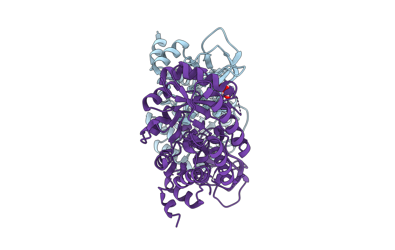 5GJM image