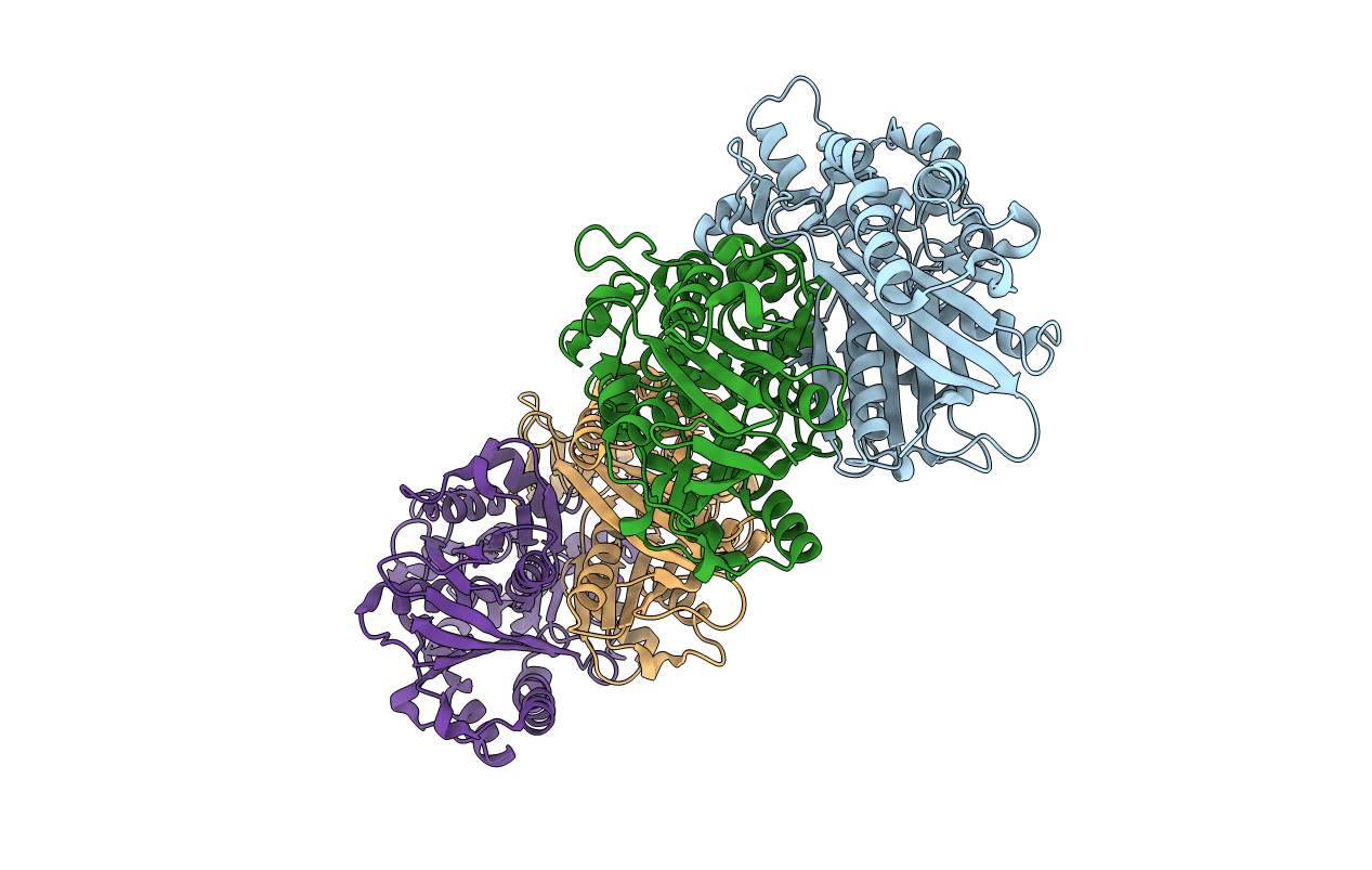 5GK2 image