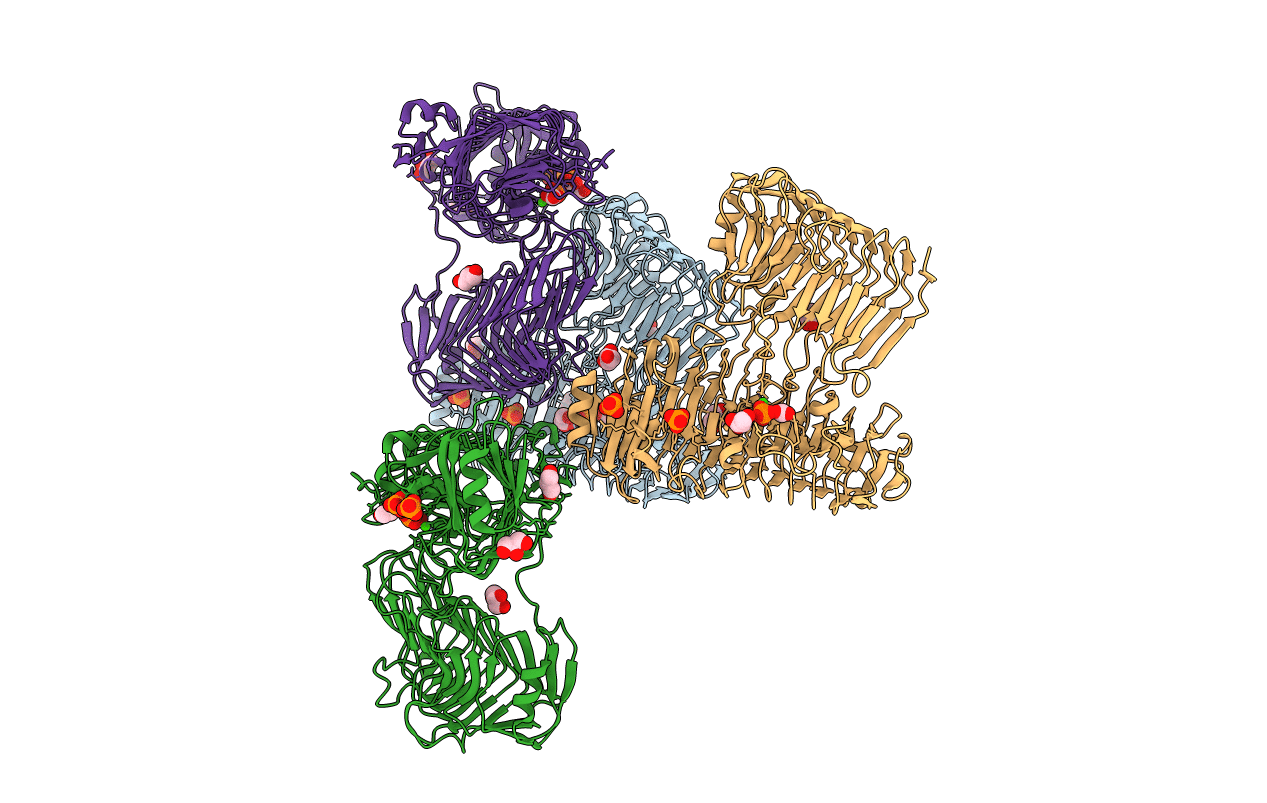5GKD image