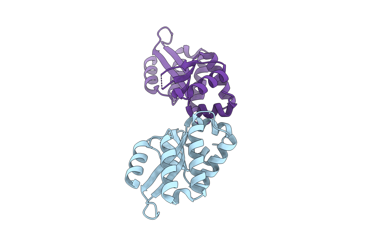 5GKK image
