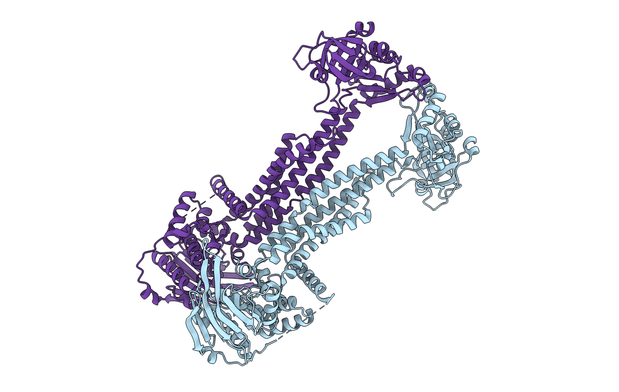 5GKO image