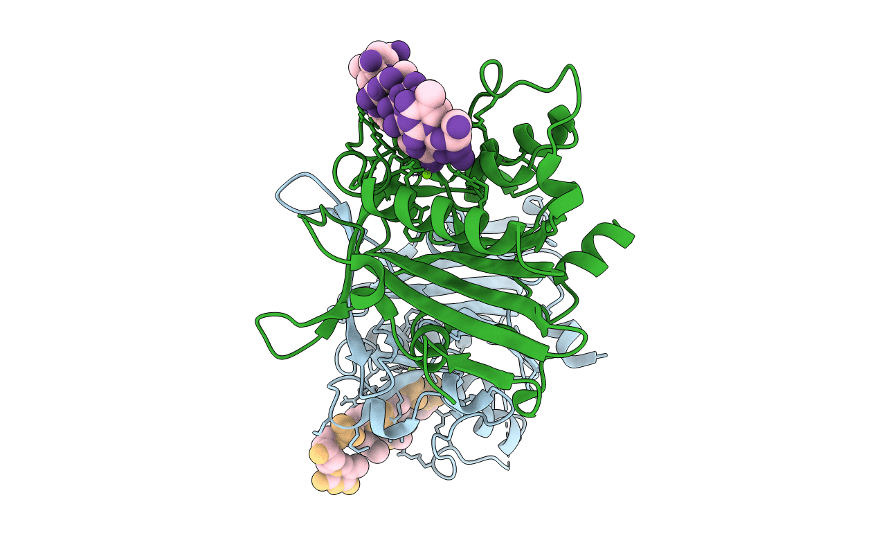 5GKP image