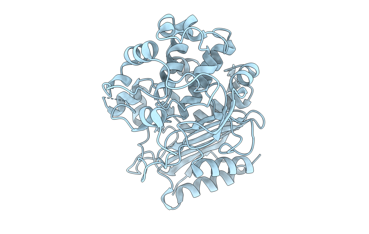 5GKV image