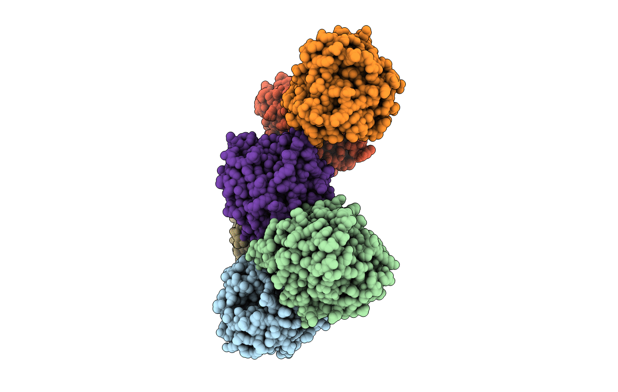 5GL3 image