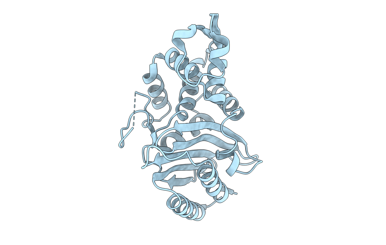 5GLC image