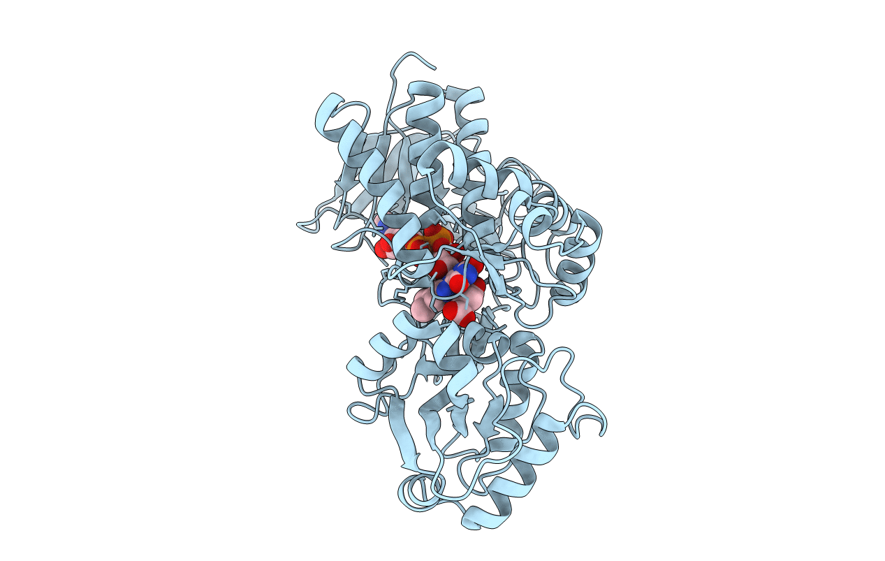 5GLG image
