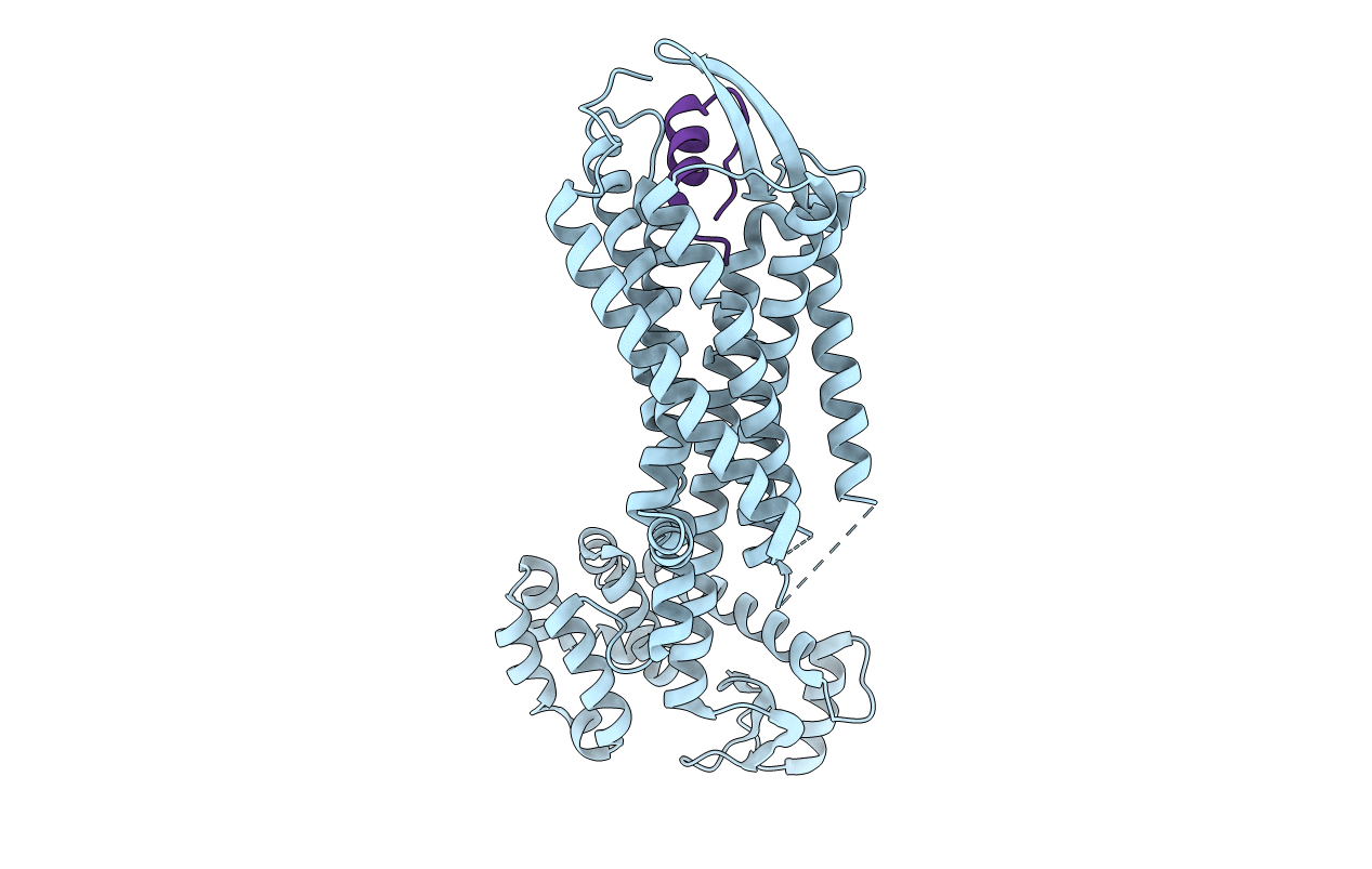 5GLH image