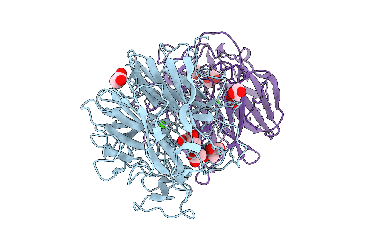 5GLL image