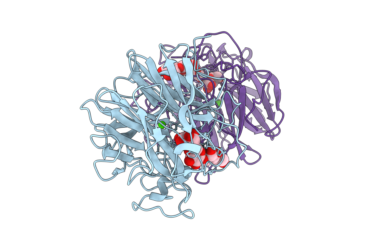 5GLR image