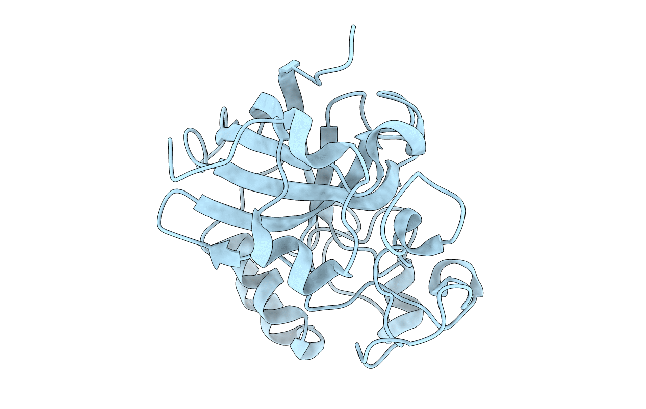 5GLX image