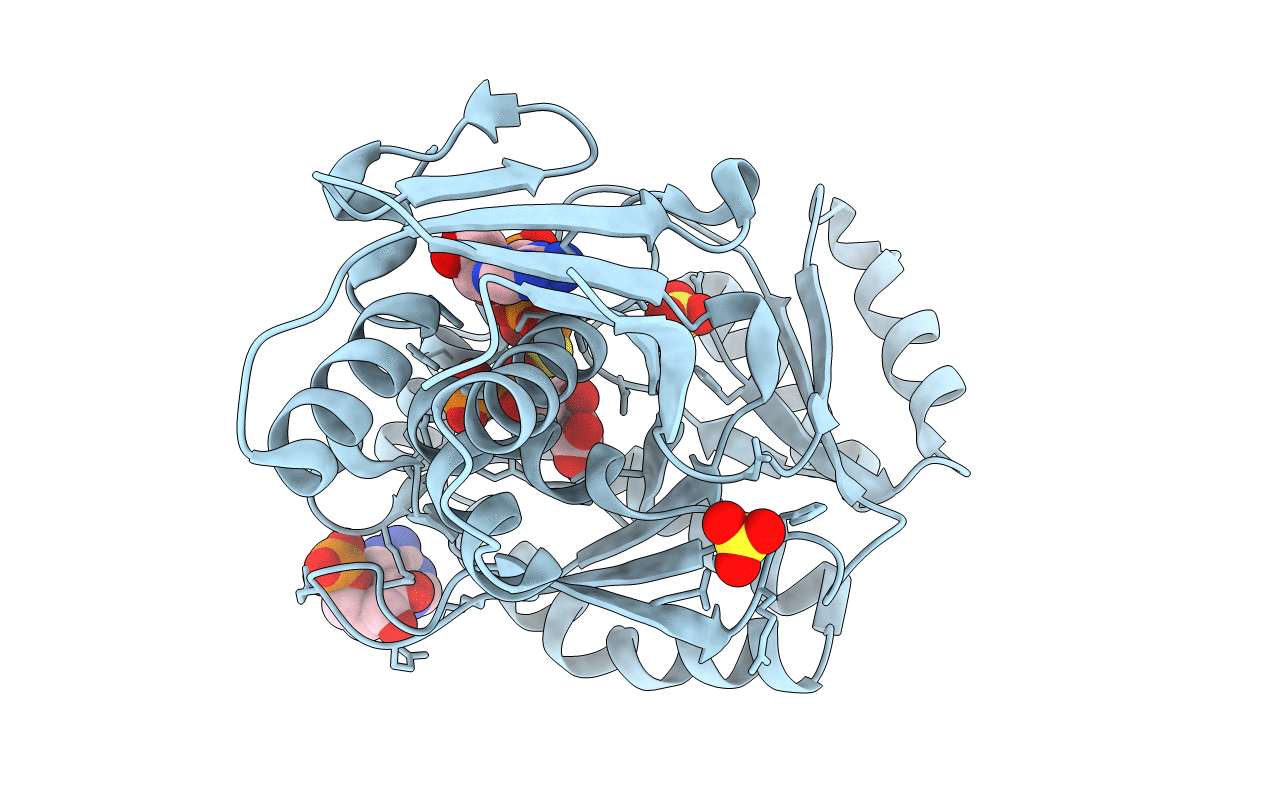 5GMD image