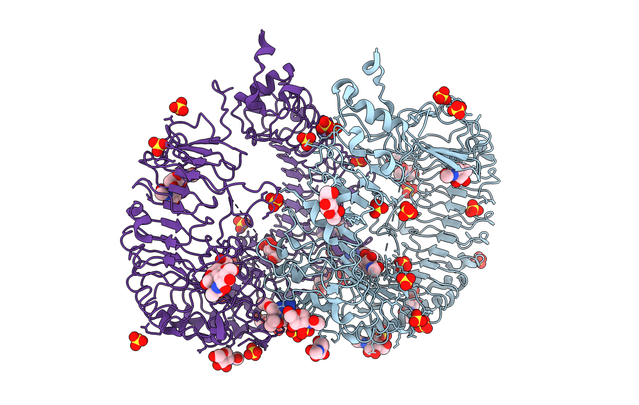5GMH image
