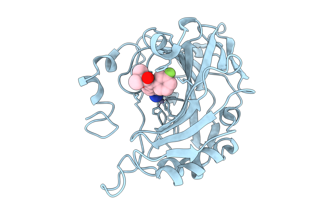 5GMN image
