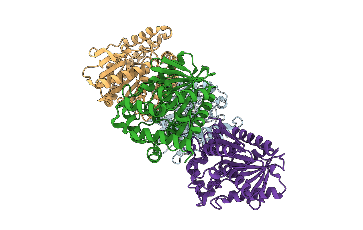 5GMR image