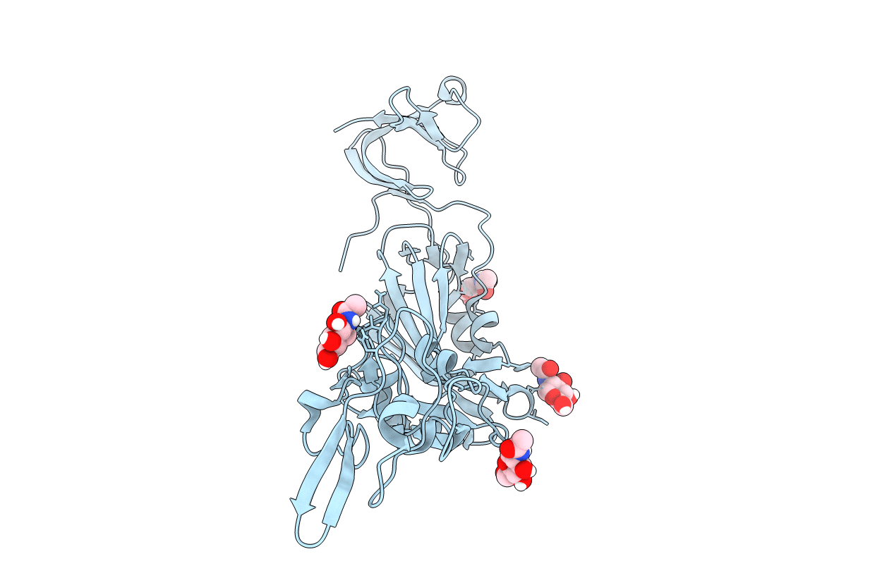 5GNB image