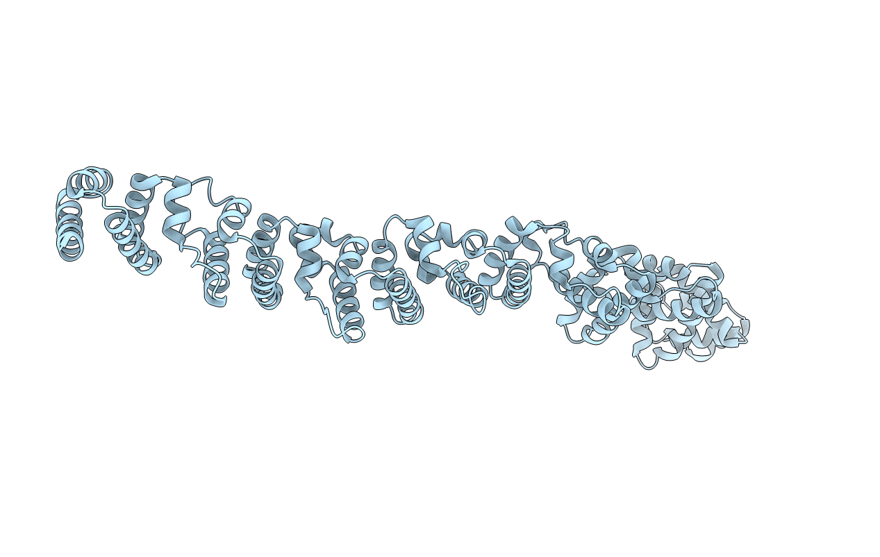 5GNC image