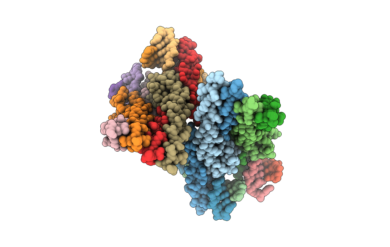 5GNJ image