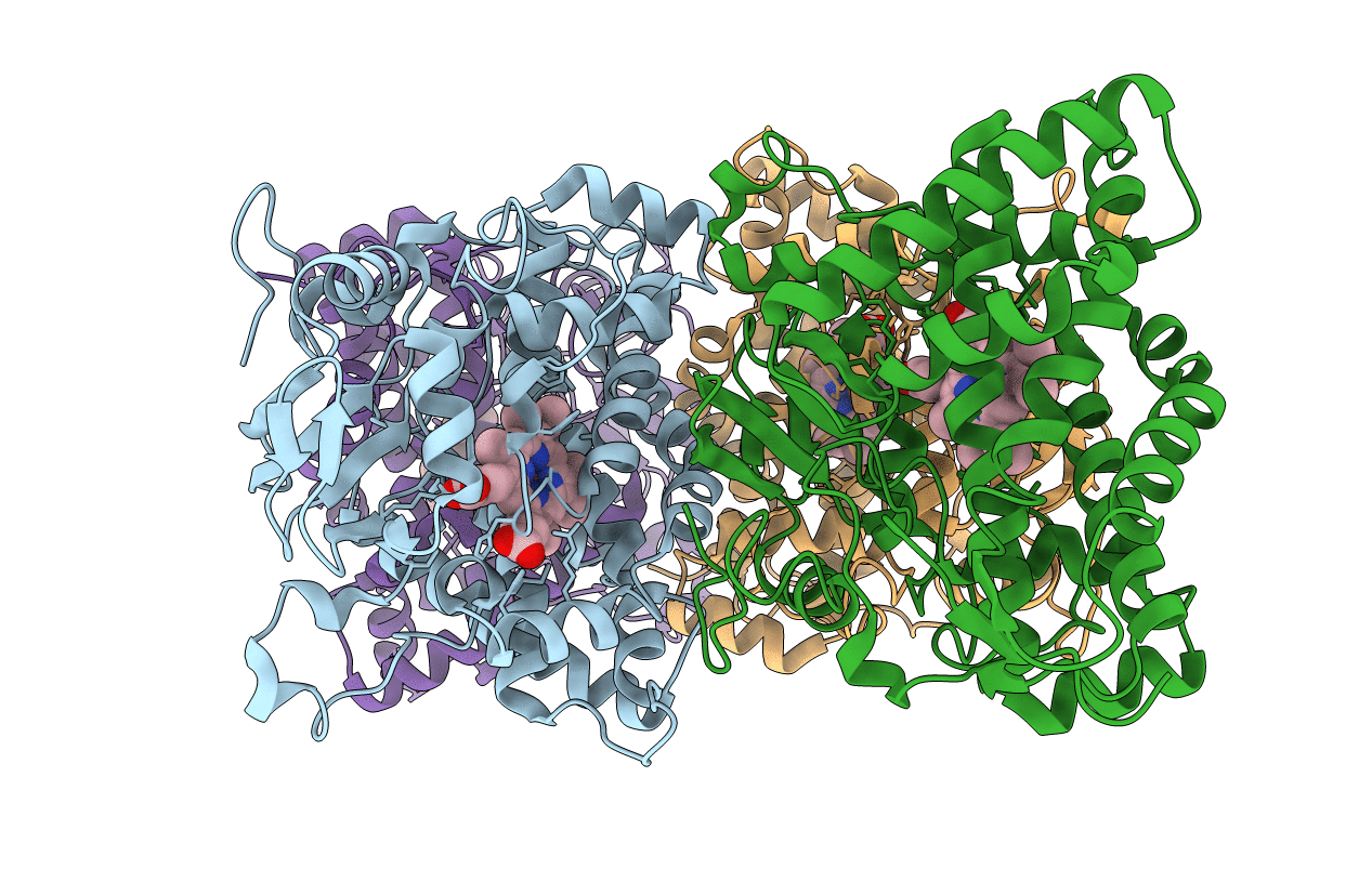 5GNM image