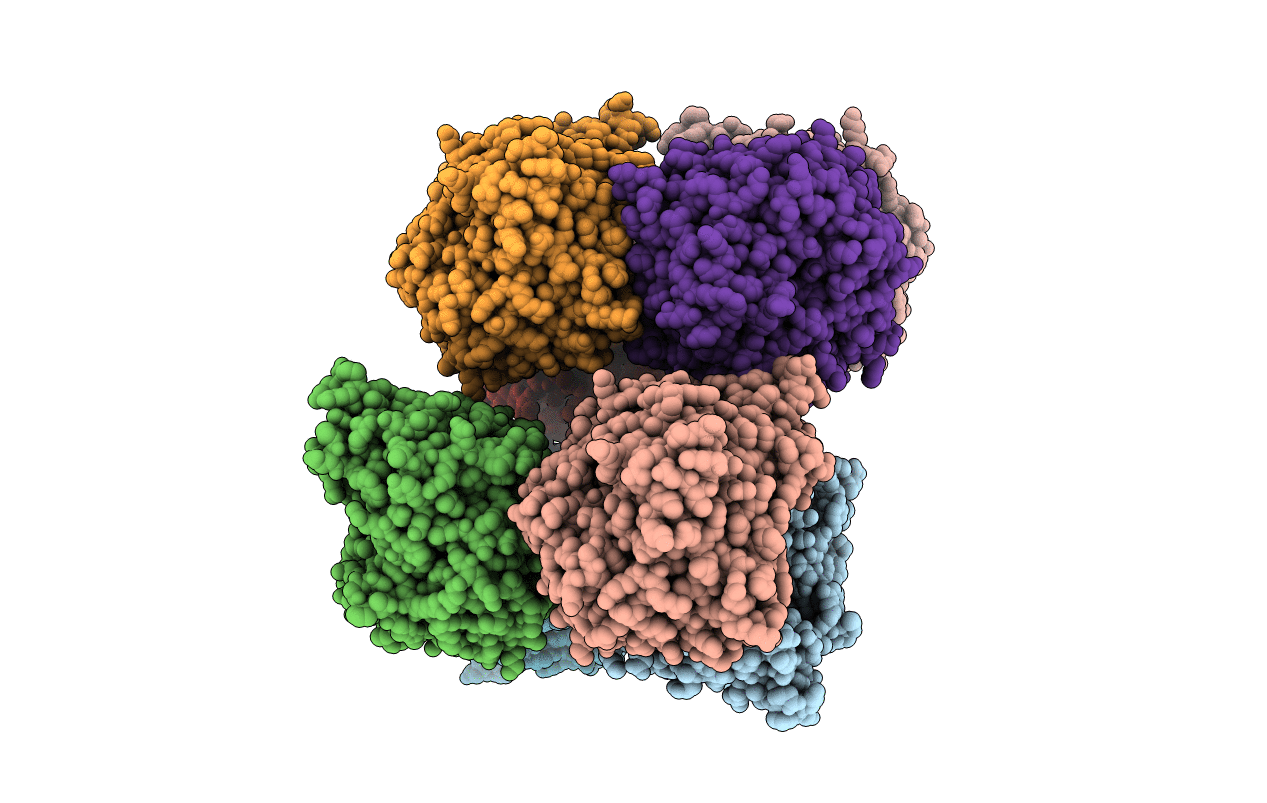 5GNZ image