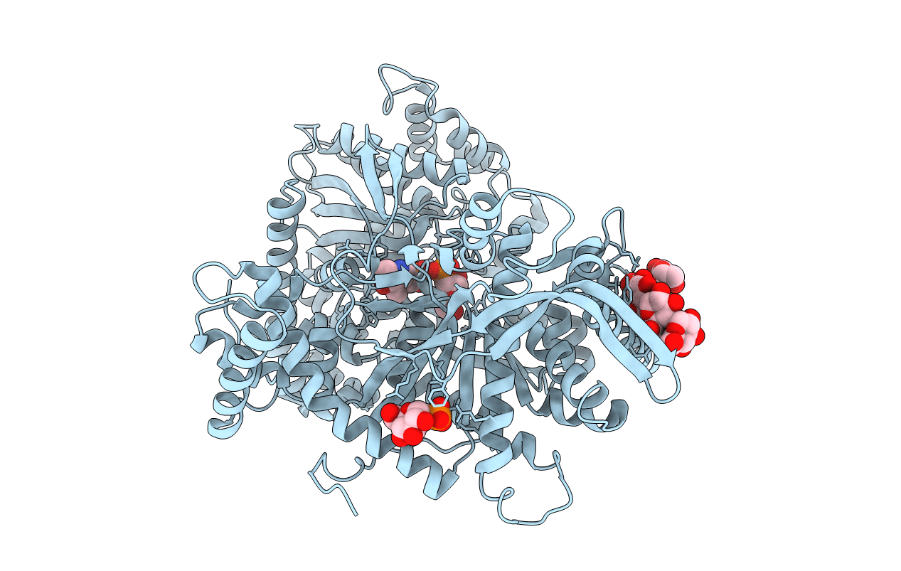 5GPB image