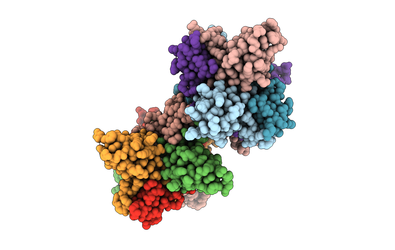 5GPE image