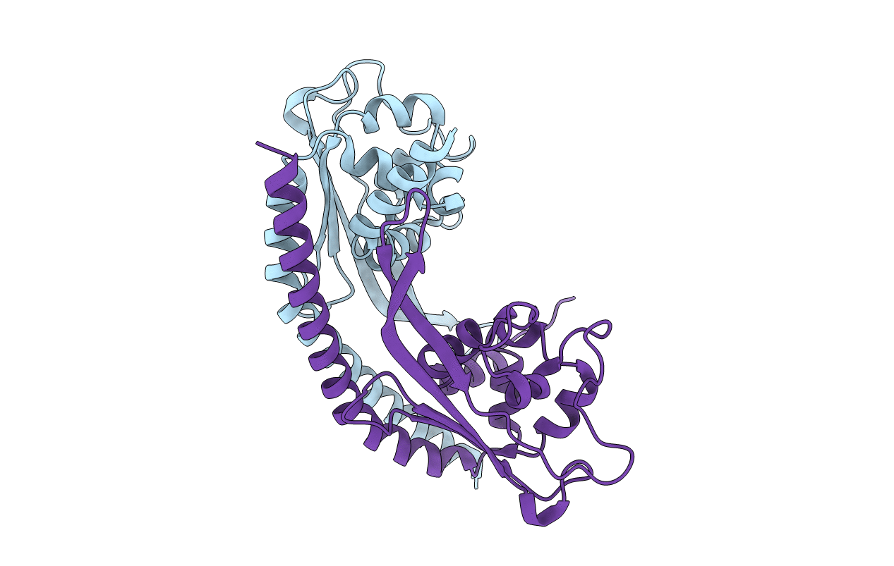 5GPL image