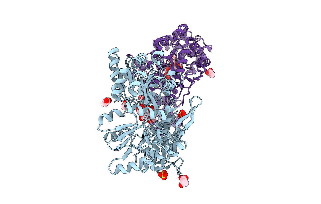 5GPP image