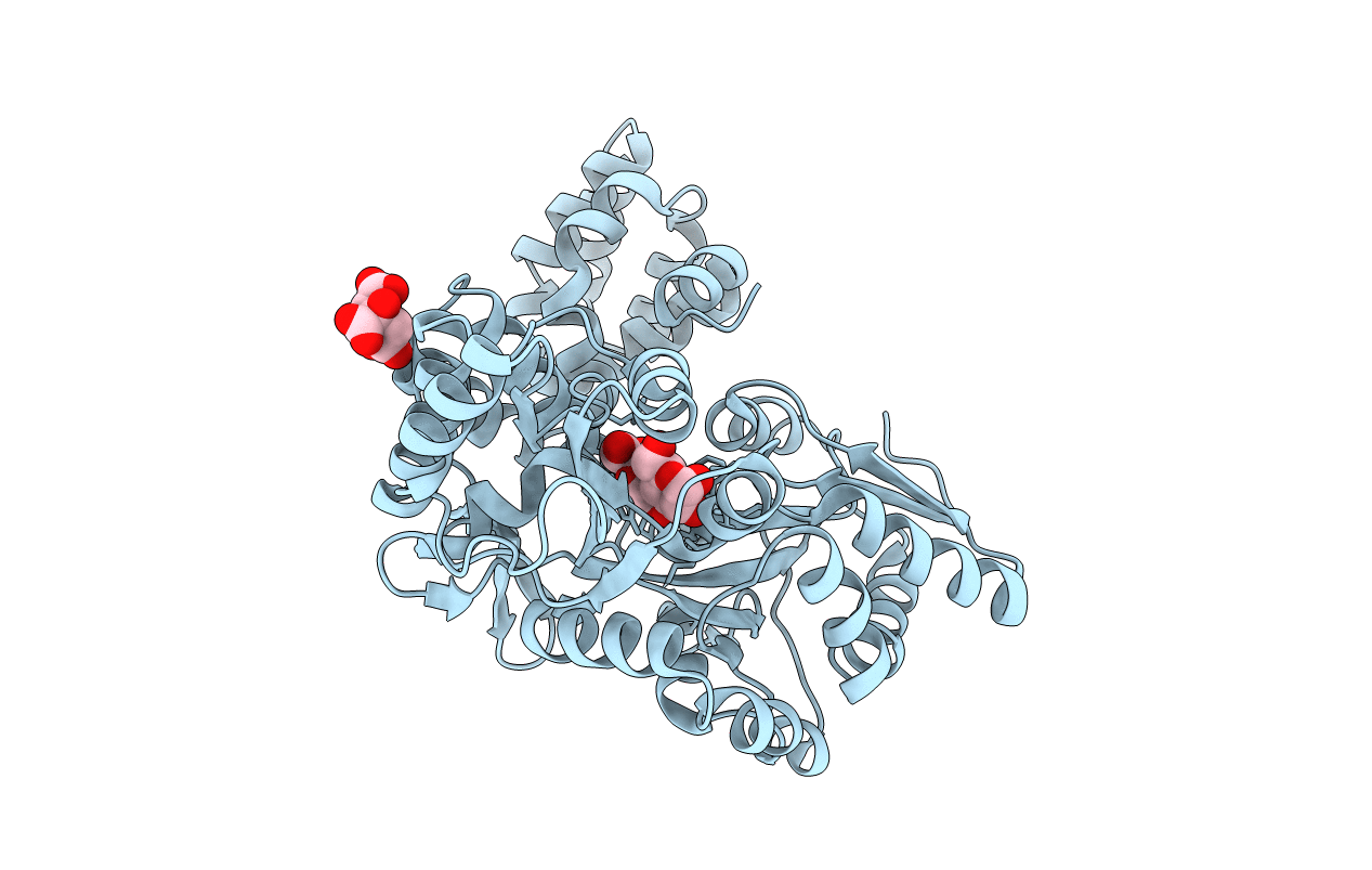 5GPQ image