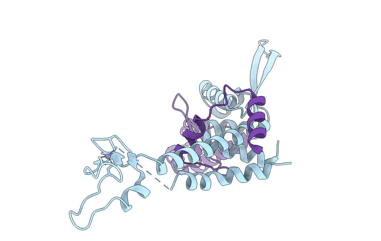 5GPY image