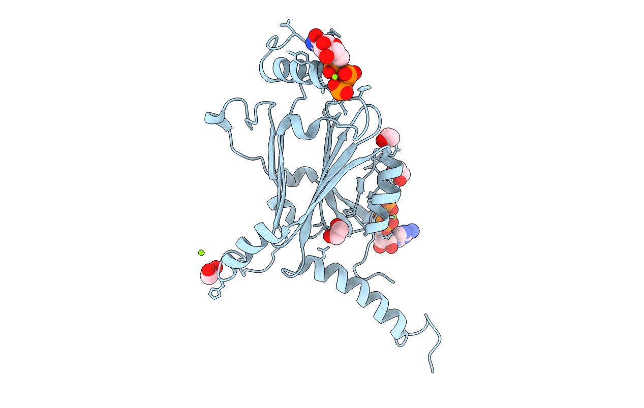 5GQI image