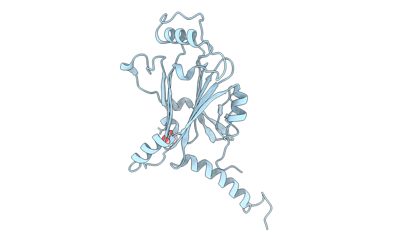 5GQN image