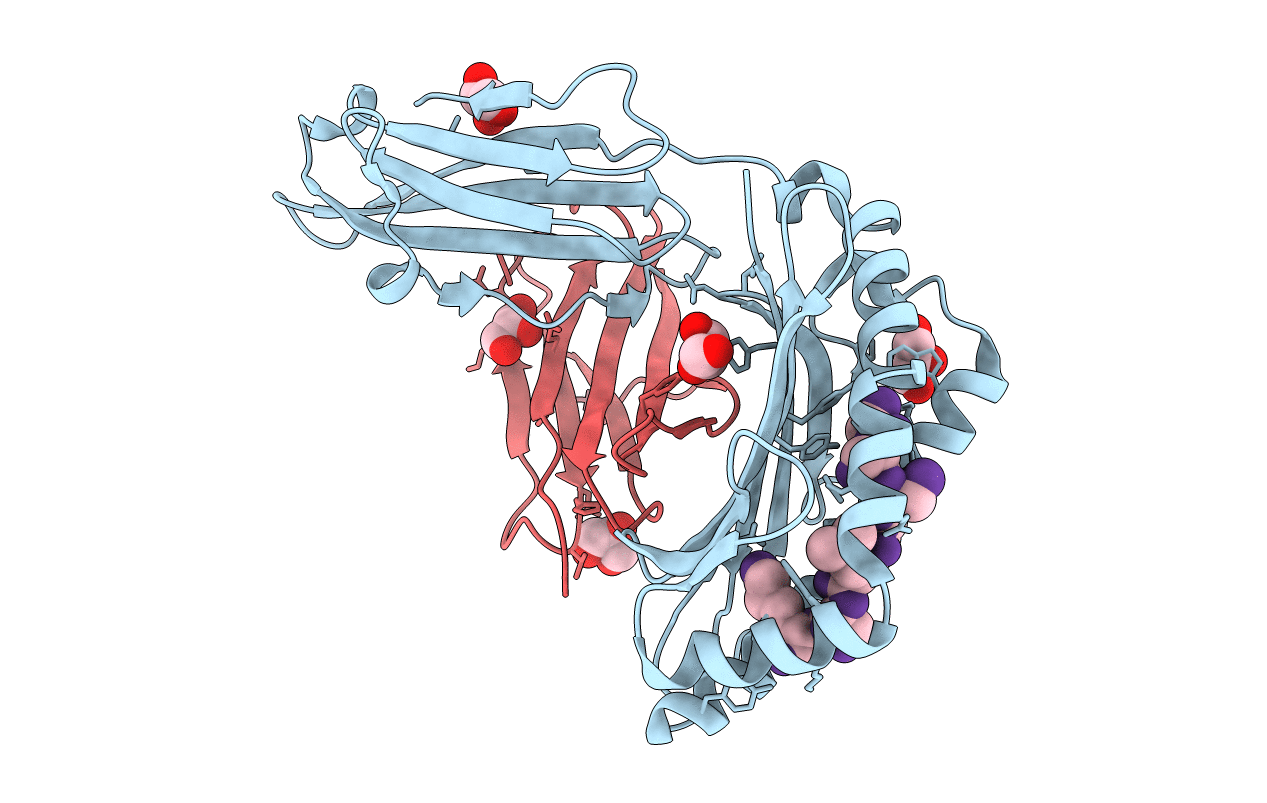 5GSD image
