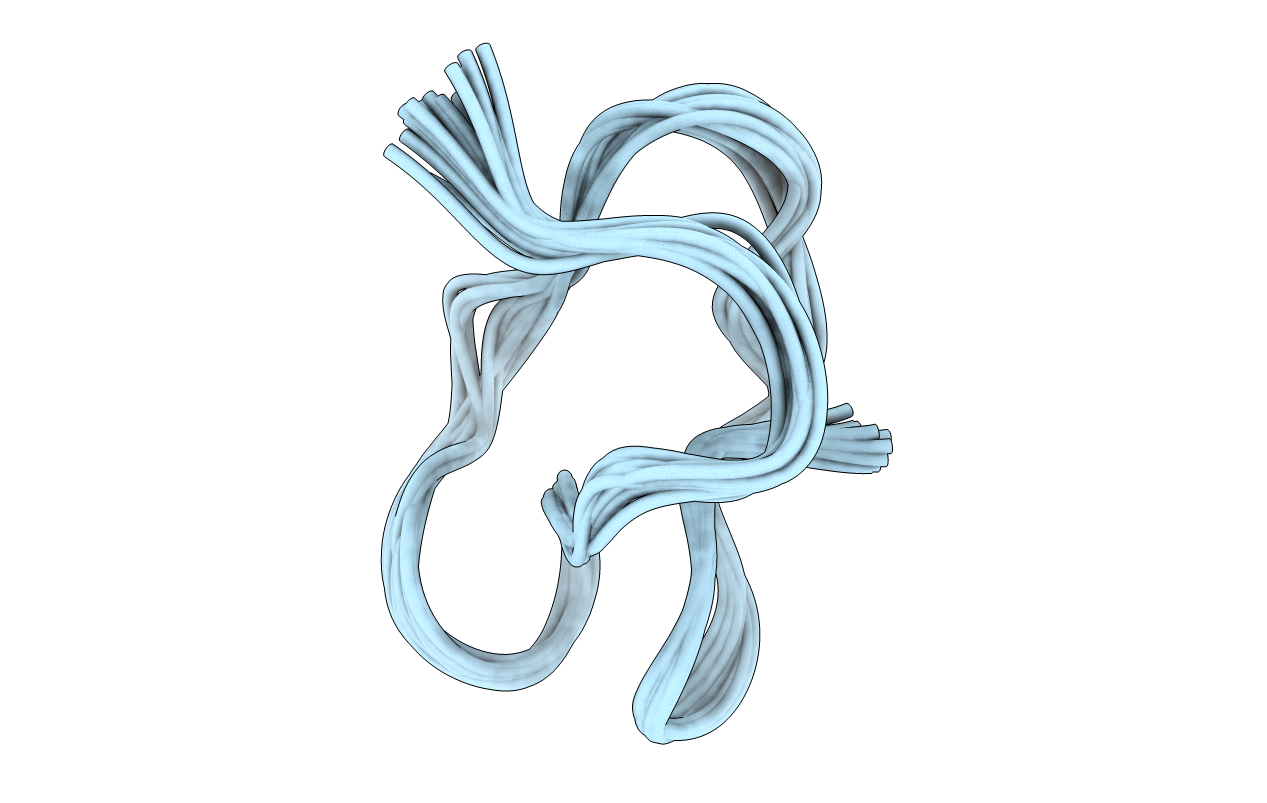 5GSF image