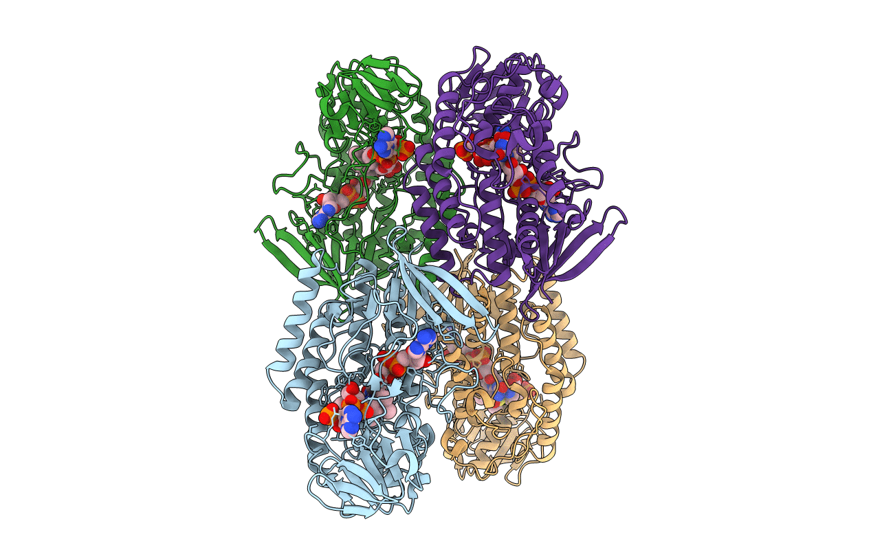 5GSN image