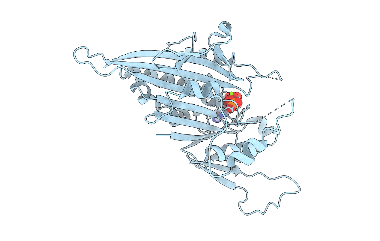 5GSZ image