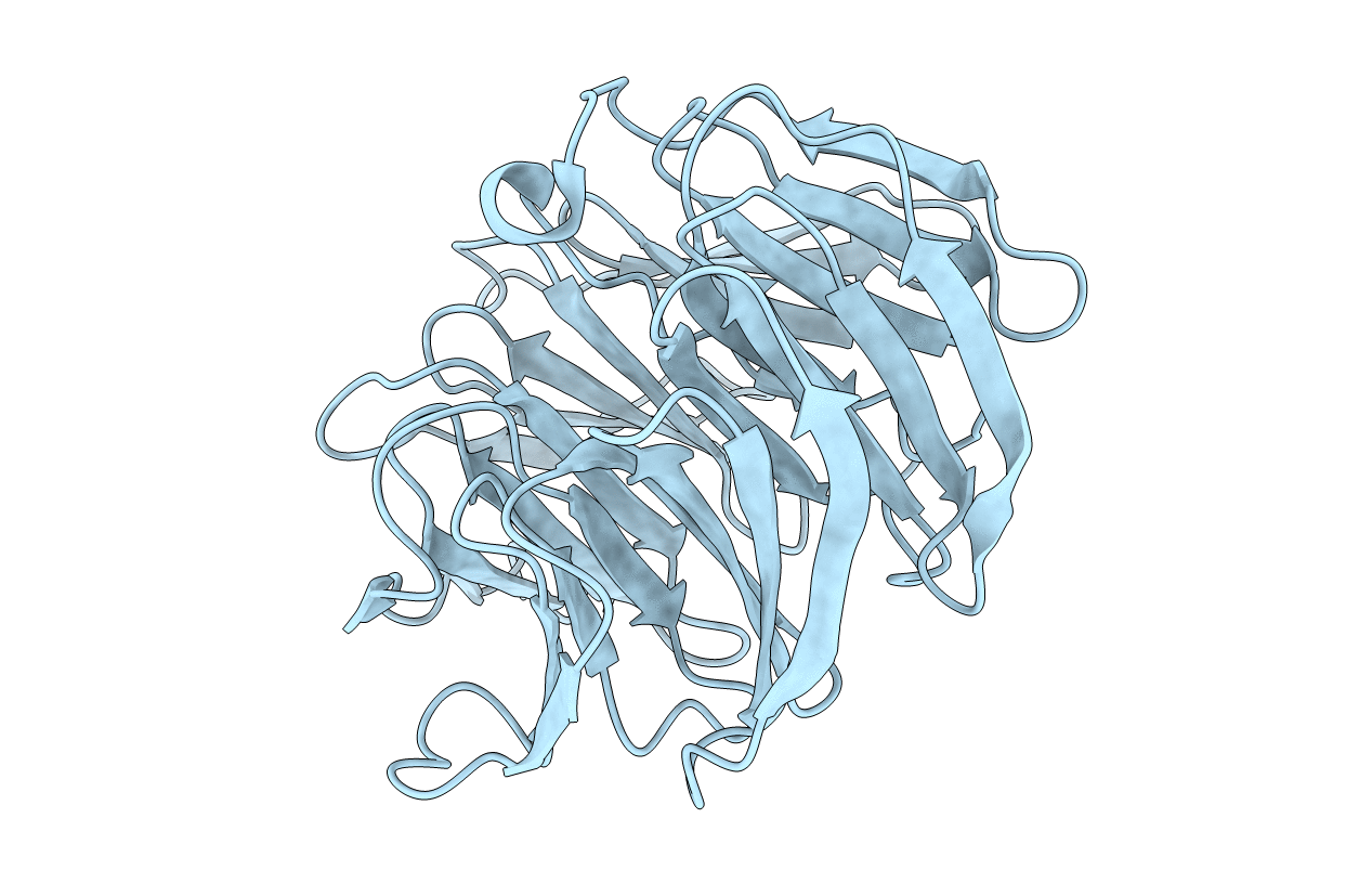 5GVA image