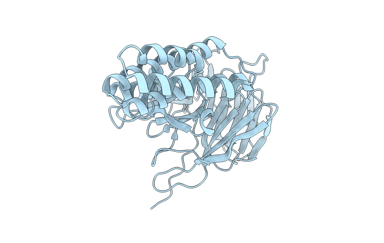5GVB image