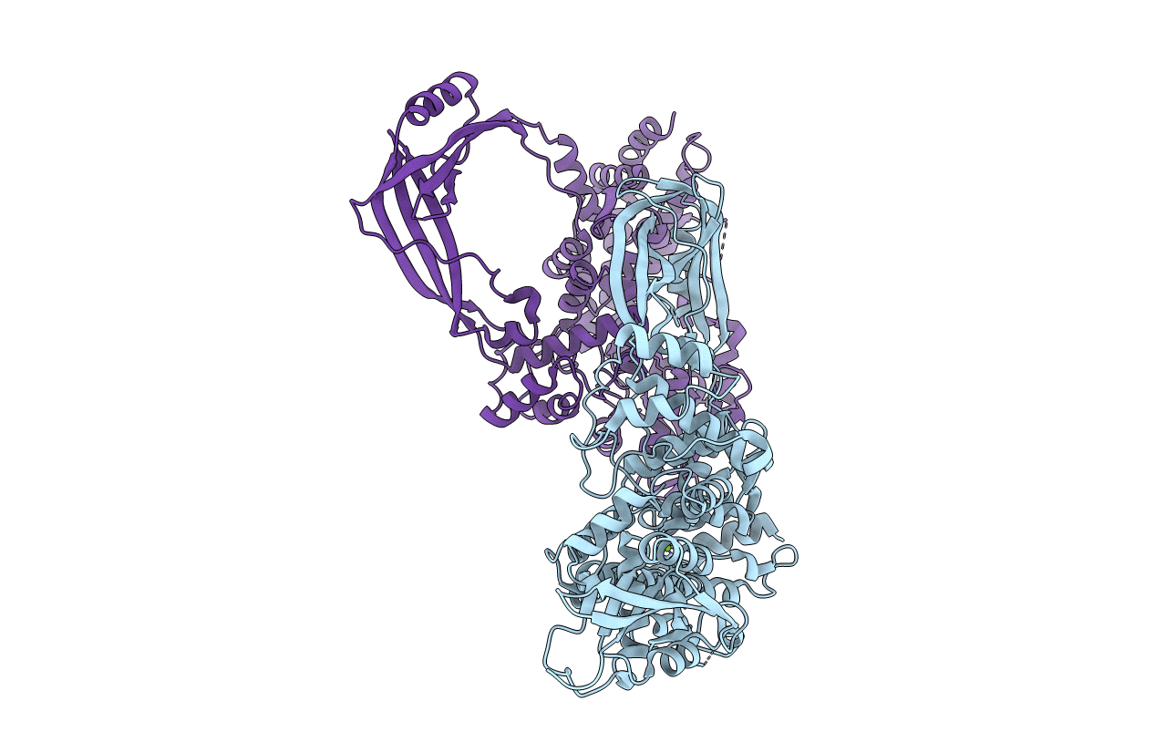 5GVC image