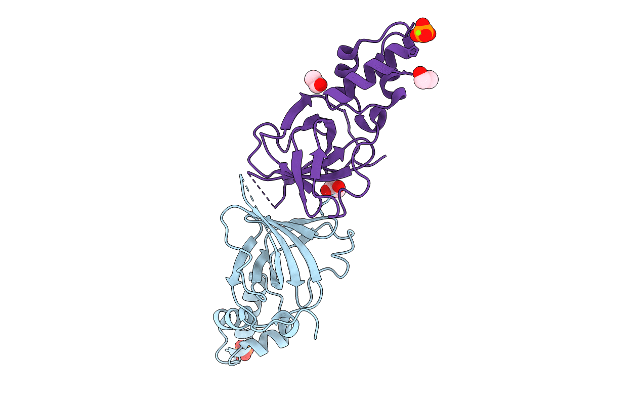 5GVD image