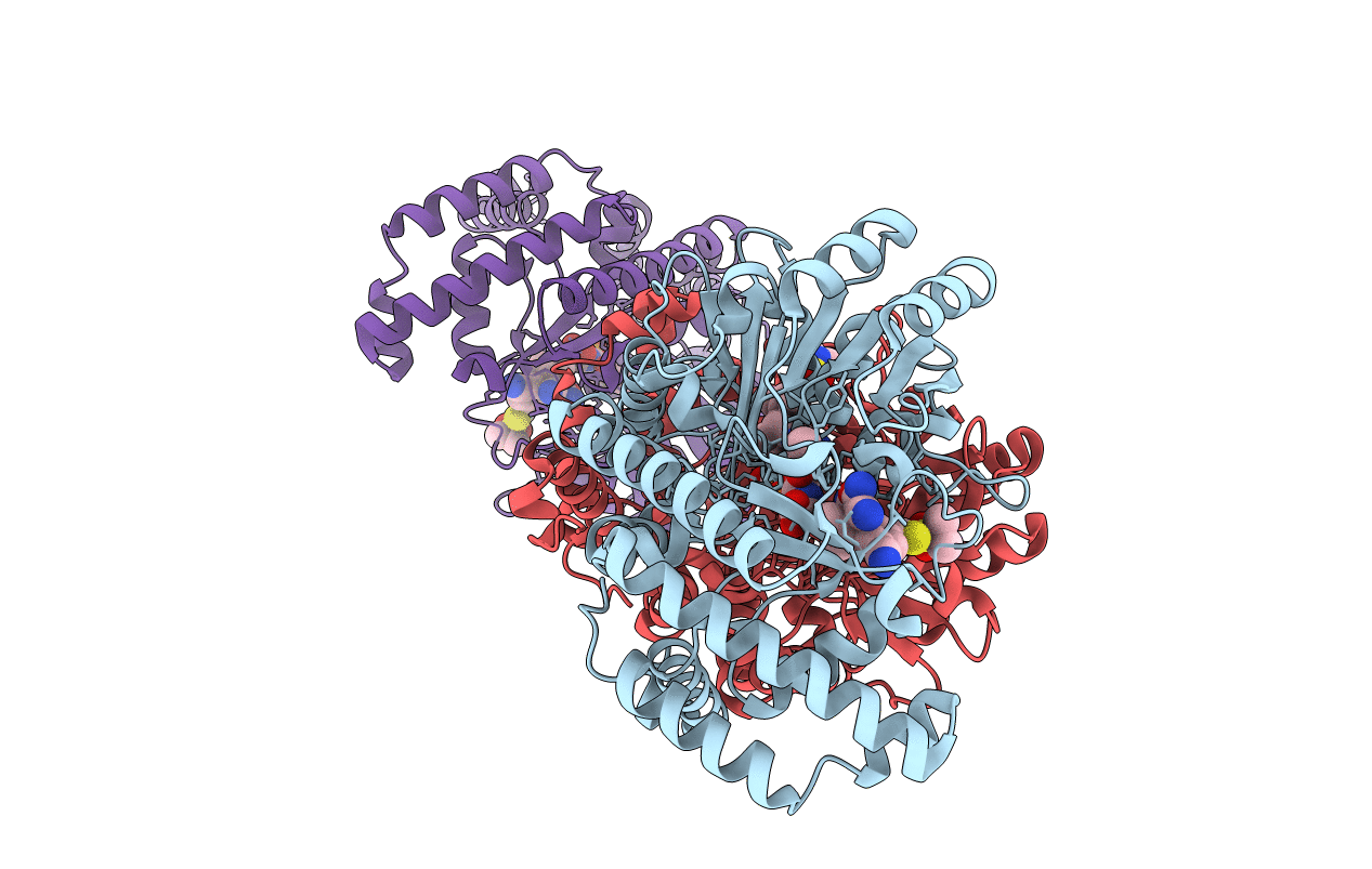 5GVK image